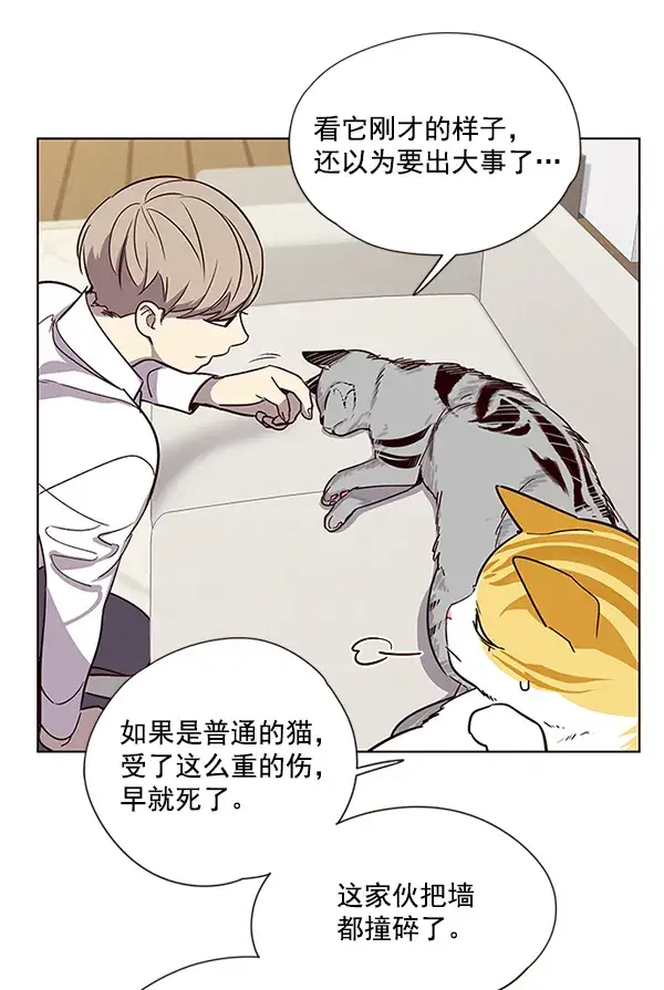 漫画《觉醒吧，铲屎官！》第6话第8张图