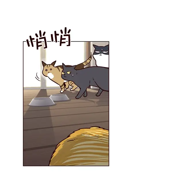漫画《觉醒吧，铲屎官！》第6话第80张图