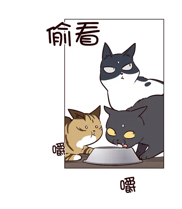 漫画《觉醒吧，铲屎官！》第6话第81张图