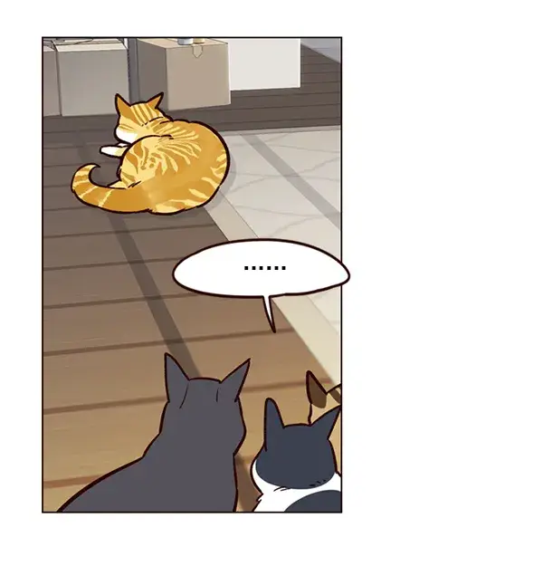 漫画《觉醒吧，铲屎官！》第6话第82张图
