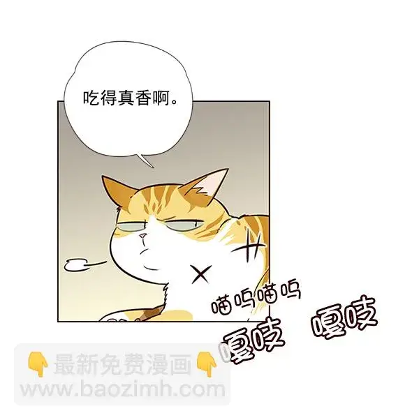 漫画《觉醒吧，铲屎官！》第6话第84张图