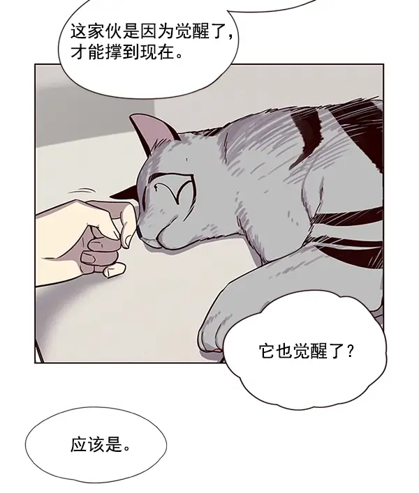 漫画《觉醒吧，铲屎官！》第6话第9张图