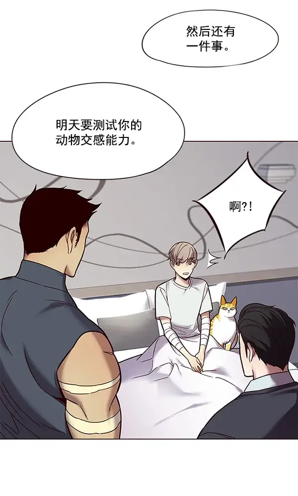 漫画《觉醒吧，铲屎官！》第89话第16张图