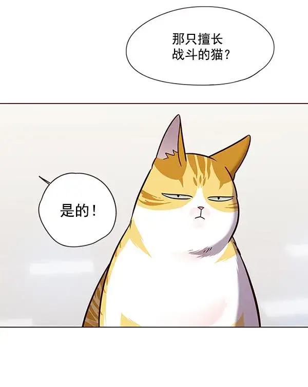 漫画《觉醒吧，铲屎官！》第89话第53张图