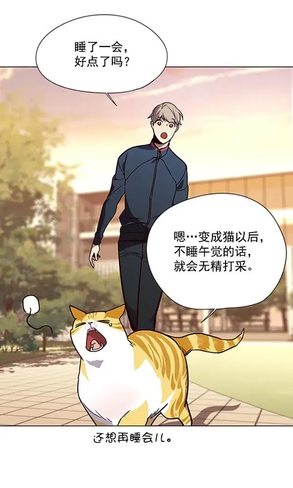 漫画《觉醒吧，铲屎官！》第90话第68张图