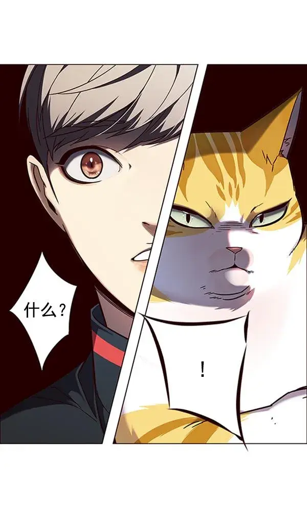 漫画《觉醒吧，铲屎官！》第91话第60张图