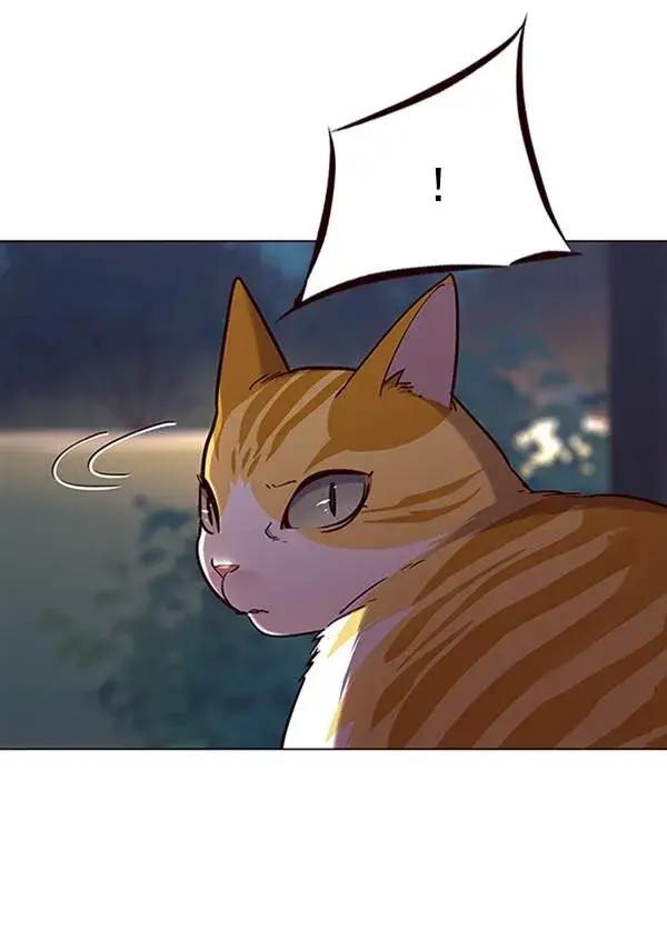 漫画《觉醒吧，铲屎官！》第91话第90张图