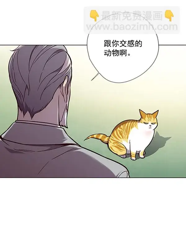漫画《觉醒吧，铲屎官！》第92话第45张图