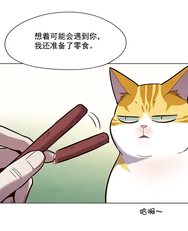 漫画《觉醒吧，铲屎官！》第92话第53张图