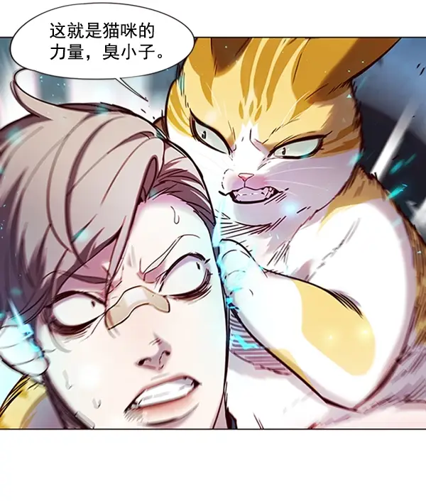 漫画《觉醒吧，铲屎官！》第93话第103张图