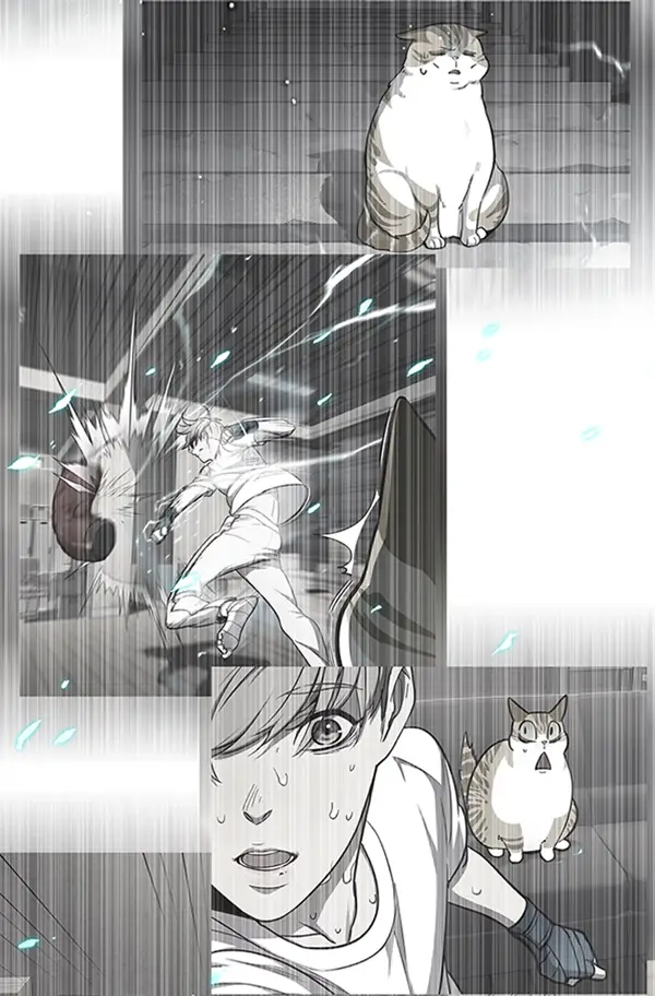 漫画《觉醒吧，铲屎官！》第93话第47张图