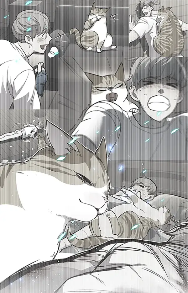 漫画《觉醒吧，铲屎官！》第93话第48张图