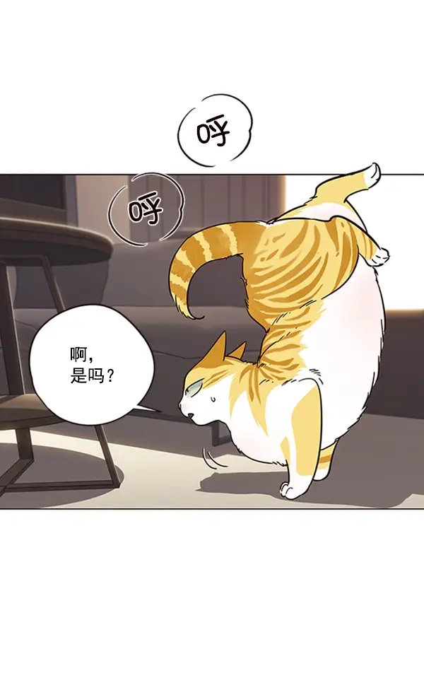 漫画《觉醒吧，铲屎官！》第94话第28张图