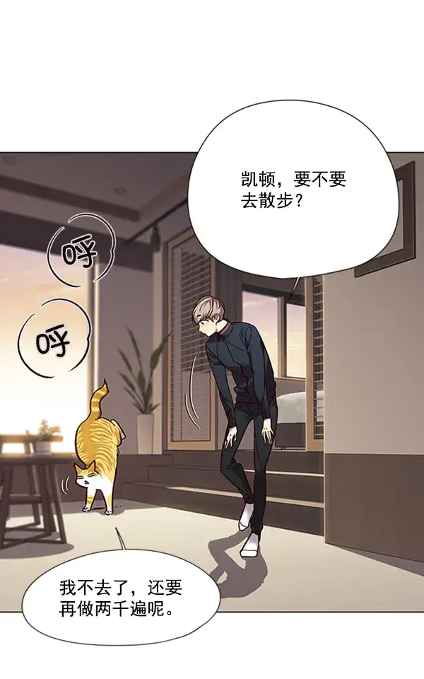 漫画《觉醒吧，铲屎官！》第94话第32张图