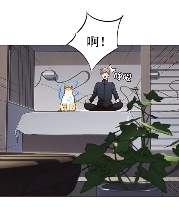漫画《觉醒吧，铲屎官！》第95话第51张图