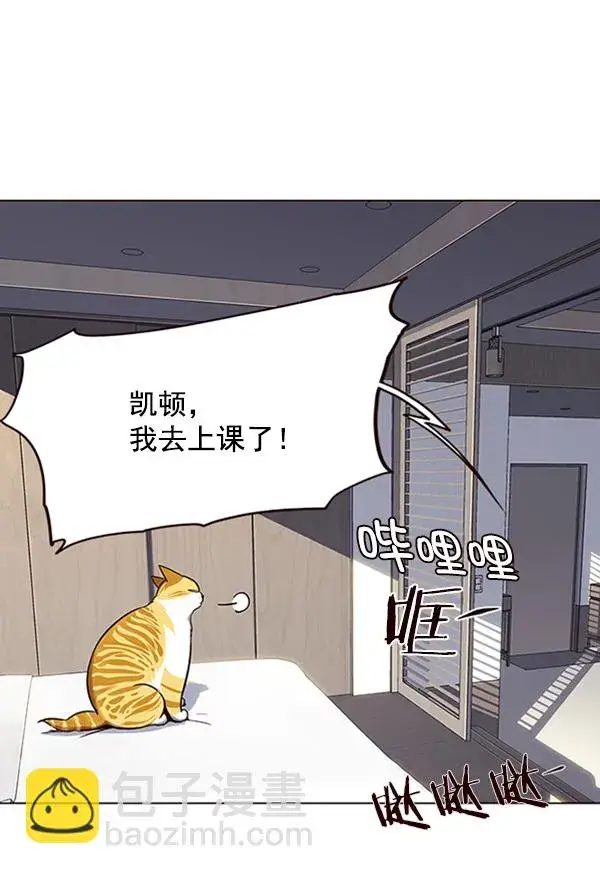 漫画《觉醒吧，铲屎官！》第95话第53张图