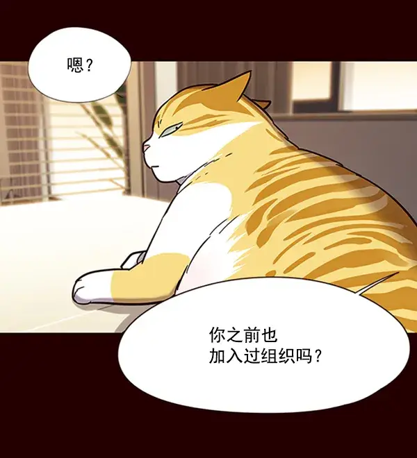漫画《觉醒吧，铲屎官！》第96话第14张图