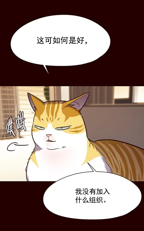 漫画《觉醒吧，铲屎官！》第96话第19张图