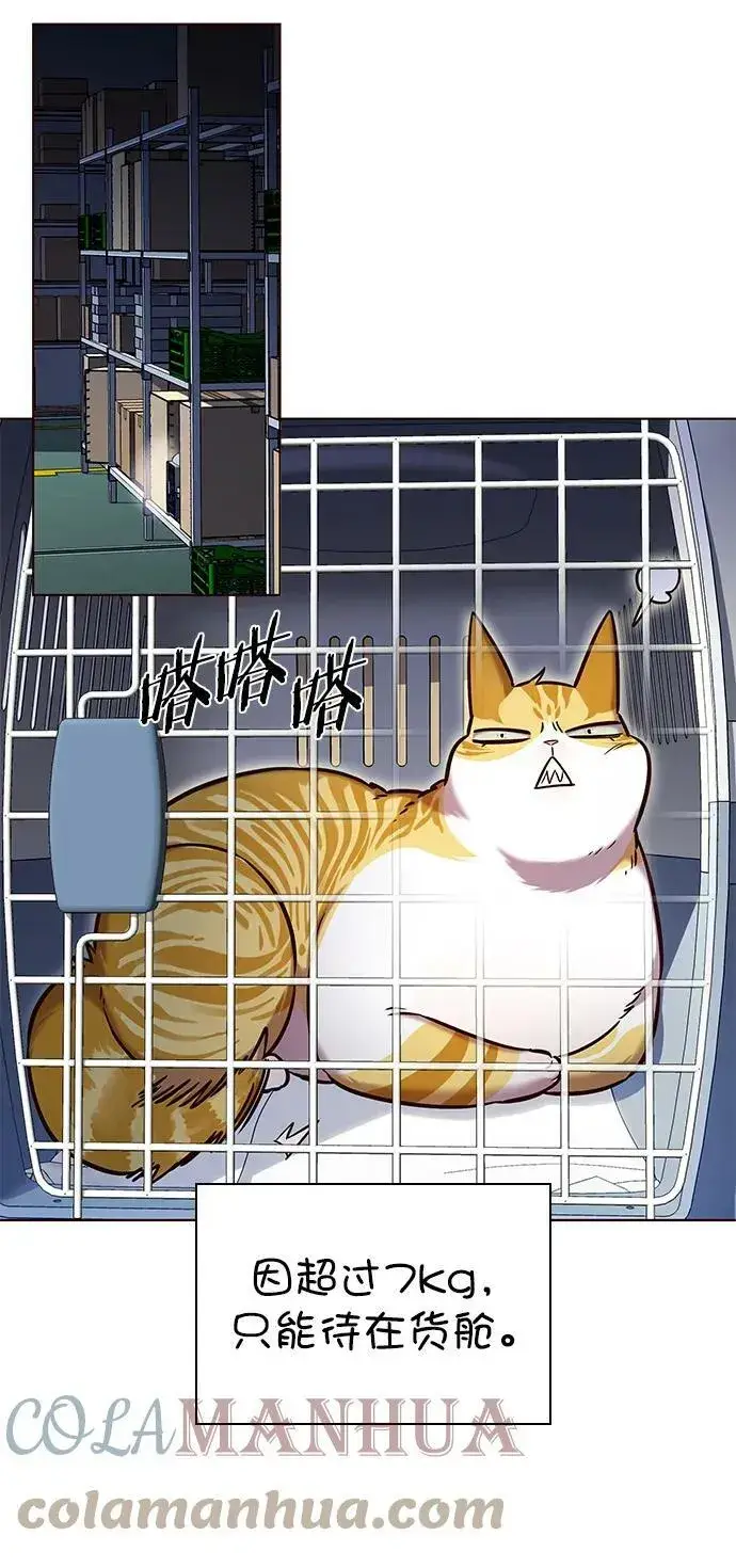 漫画《觉醒吧，铲屎官！》第231话第25张图