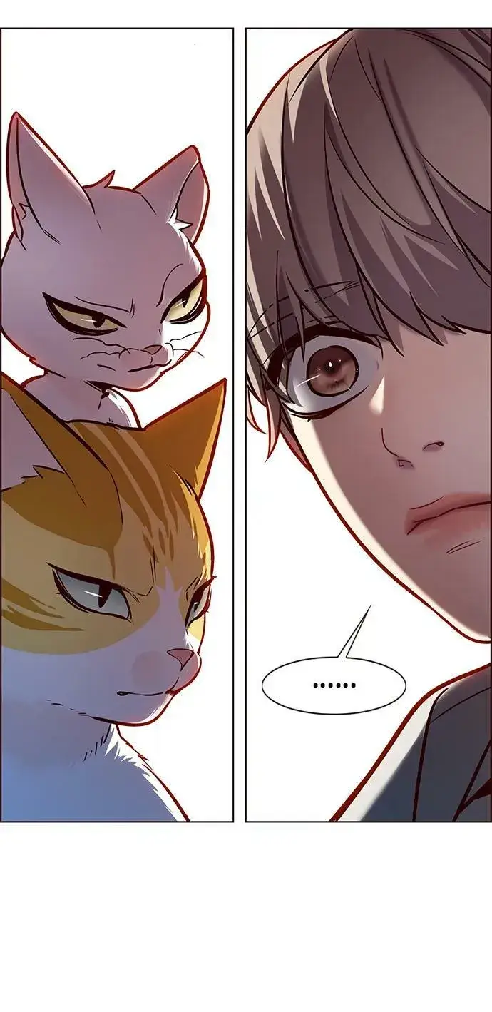 漫画《觉醒吧，铲屎官！》第239话第29张图