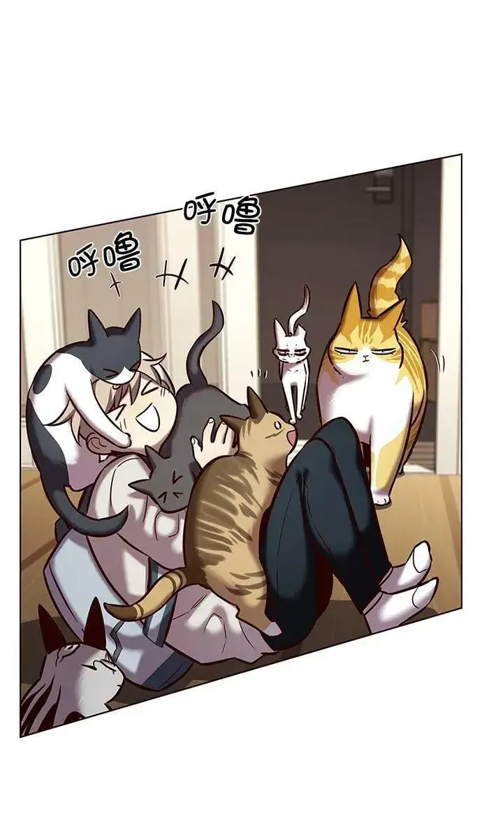 漫画《觉醒吧，铲屎官！》第239话第3张图