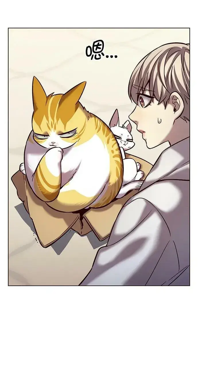 漫画《觉醒吧，铲屎官！》第239话第42张图
