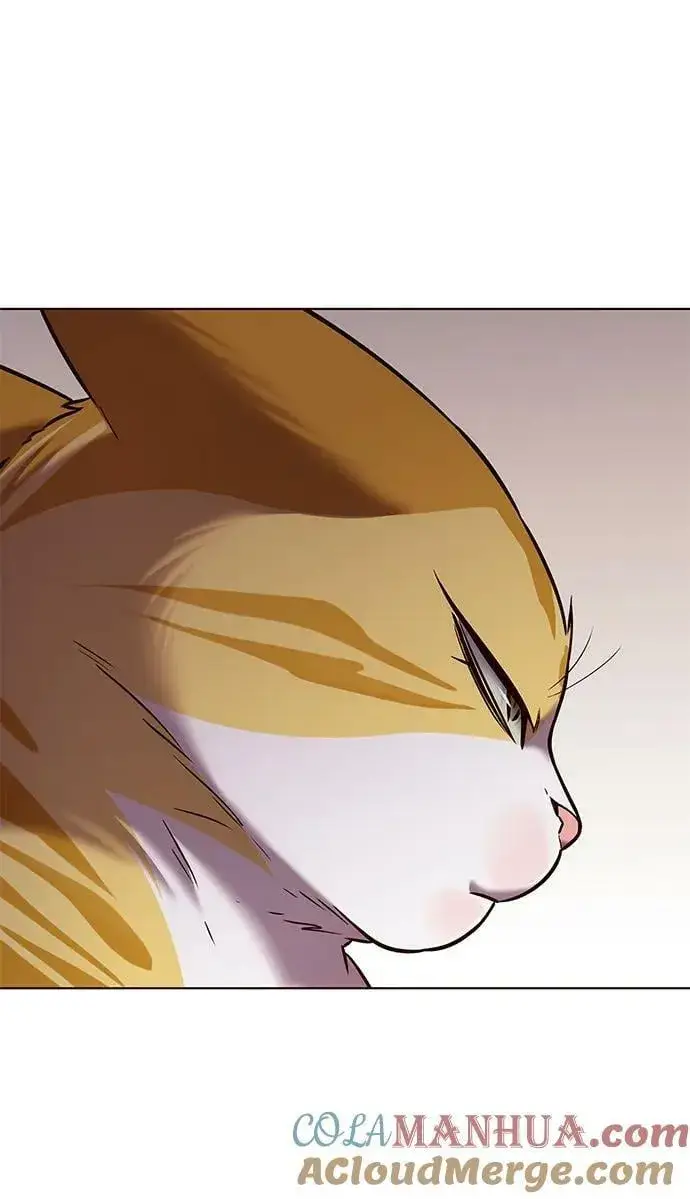漫画《觉醒吧，铲屎官！》第241话第70张图