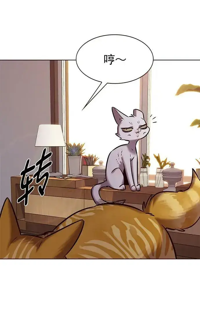 漫画《觉醒吧，铲屎官！》第241话第72张图
