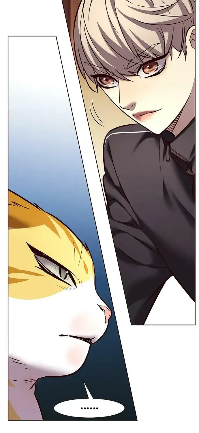 漫画《觉醒吧，铲屎官！》第242话第51张图