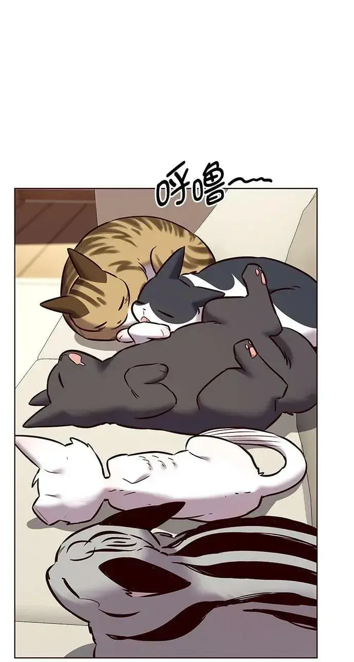 漫画《觉醒吧，铲屎官！》第243话第68张图