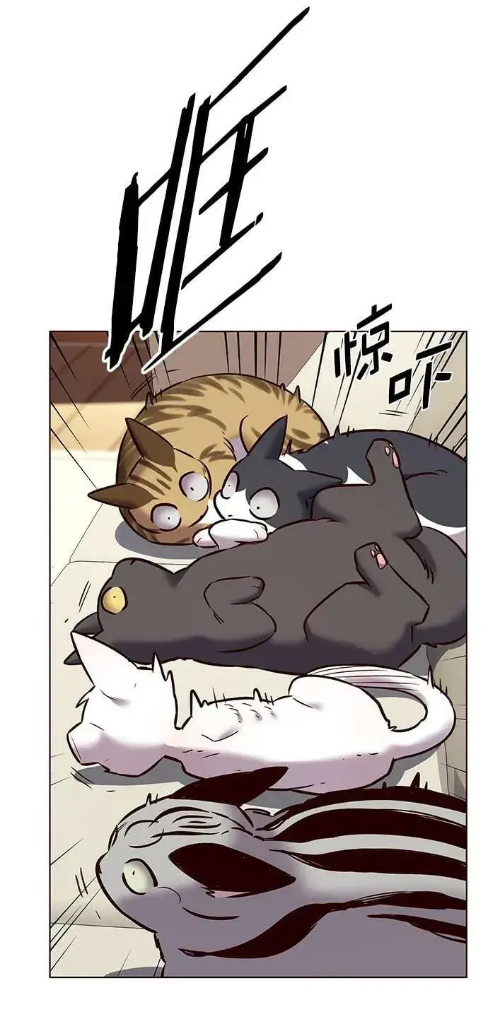 漫画《觉醒吧，铲屎官！》第243话第69张图