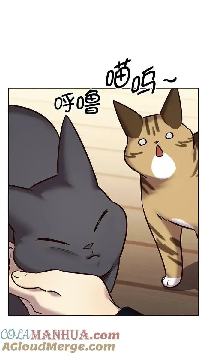 漫画《觉醒吧，铲屎官！》第244话第46张图
