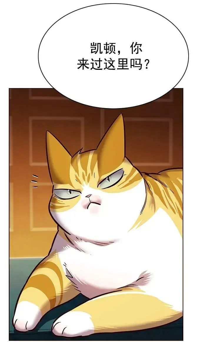 漫画《觉醒吧，铲屎官！》第245话第47张图