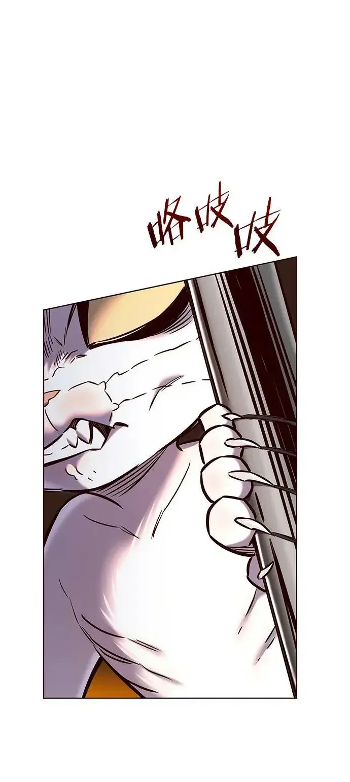 漫画《觉醒吧，铲屎官！》第249话第42张图
