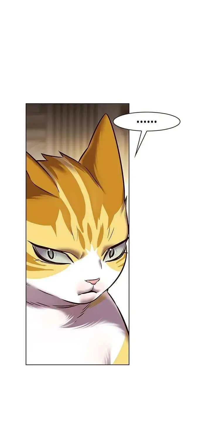 漫画《觉醒吧，铲屎官！》第250话第30张图