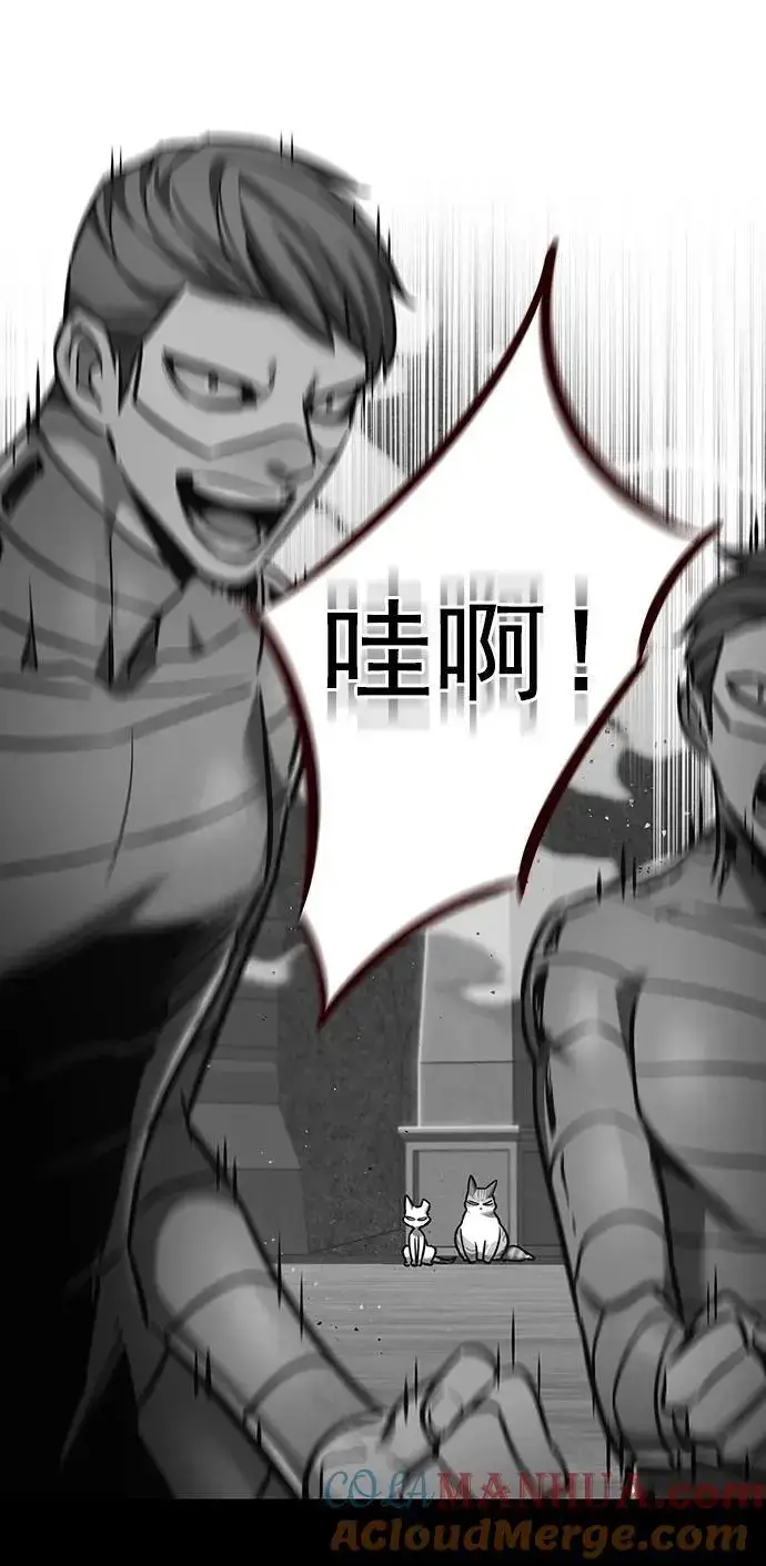 漫画《觉醒吧，铲屎官！》第261话第4张图