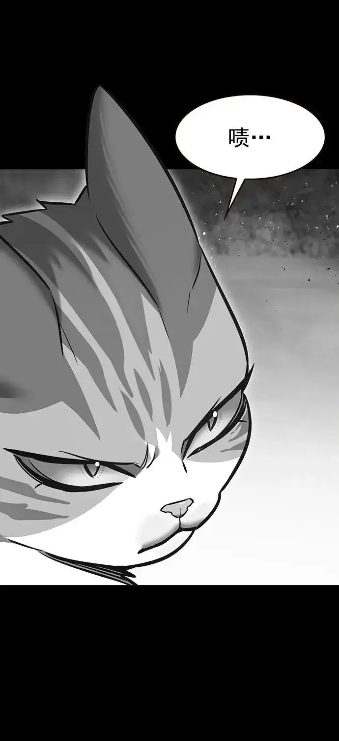 漫画《觉醒吧，铲屎官！》第261话第5张图