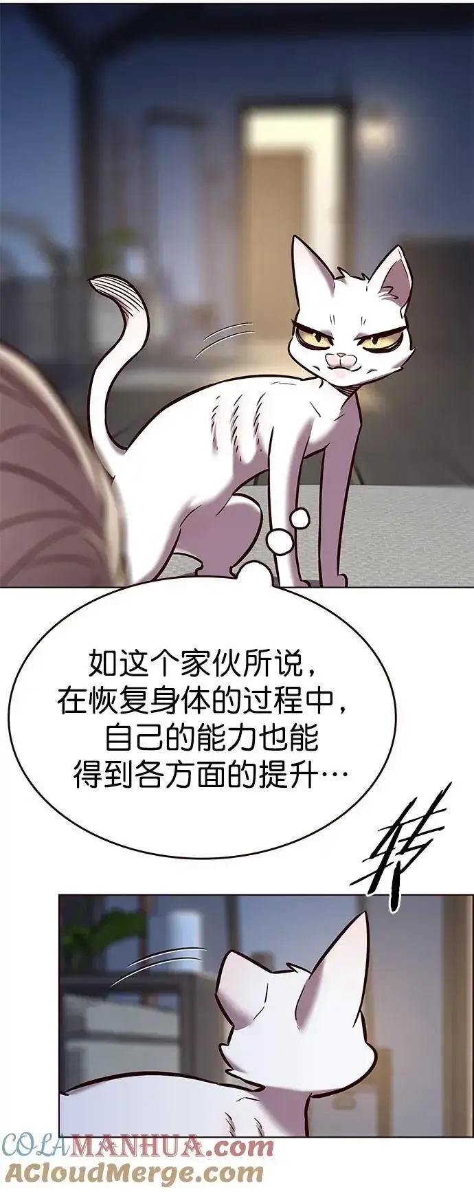 漫画《觉醒吧，铲屎官！》第262话第67张图