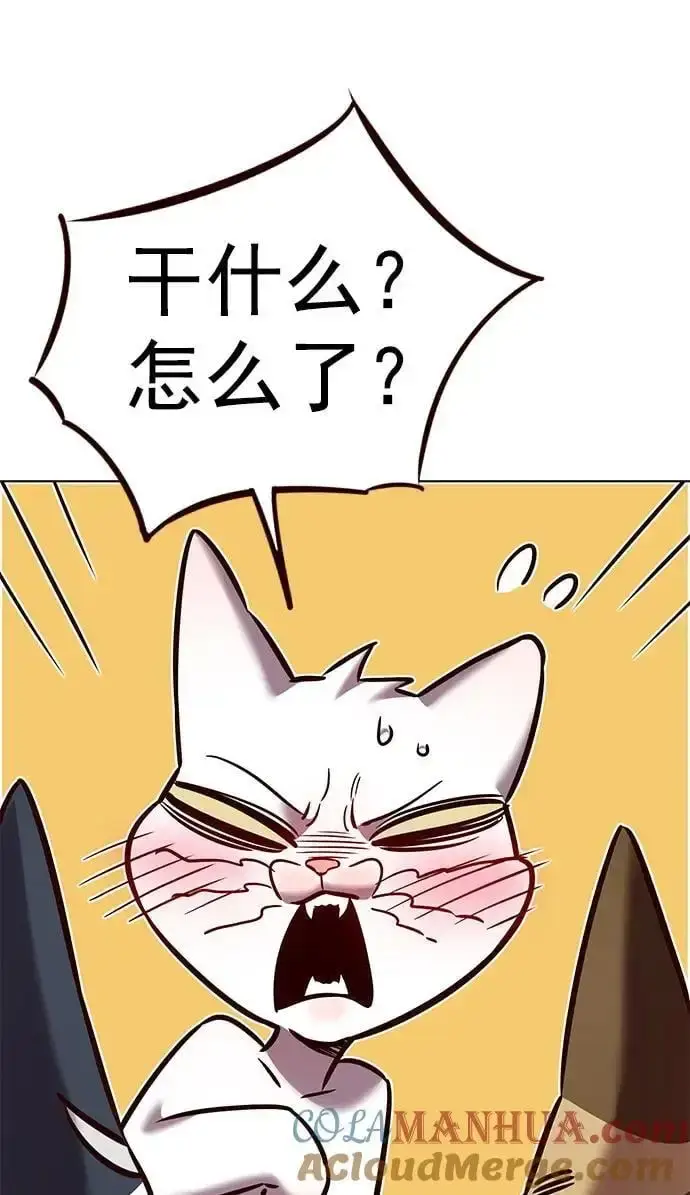 漫画《觉醒吧，铲屎官！》第262话第70张图