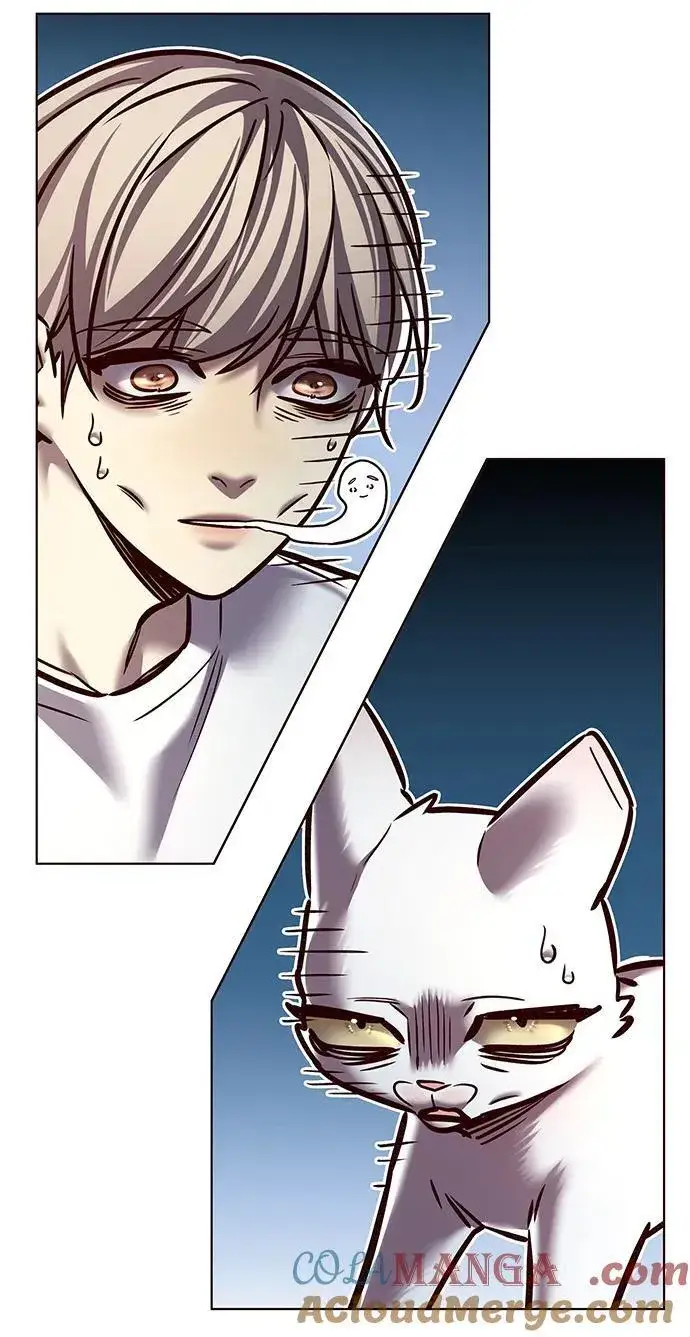漫画《觉醒吧，铲屎官！》第278话第10张图