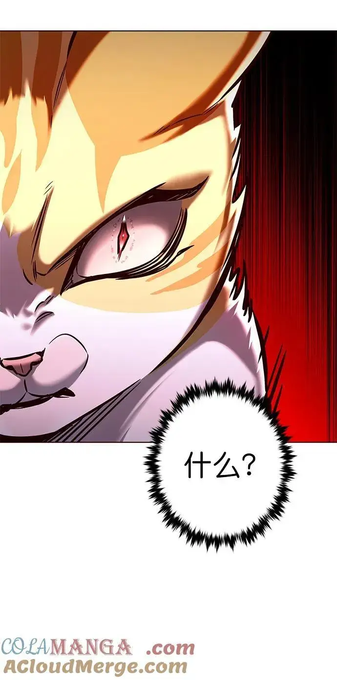 漫画《觉醒吧，铲屎官！》第278话第25张图