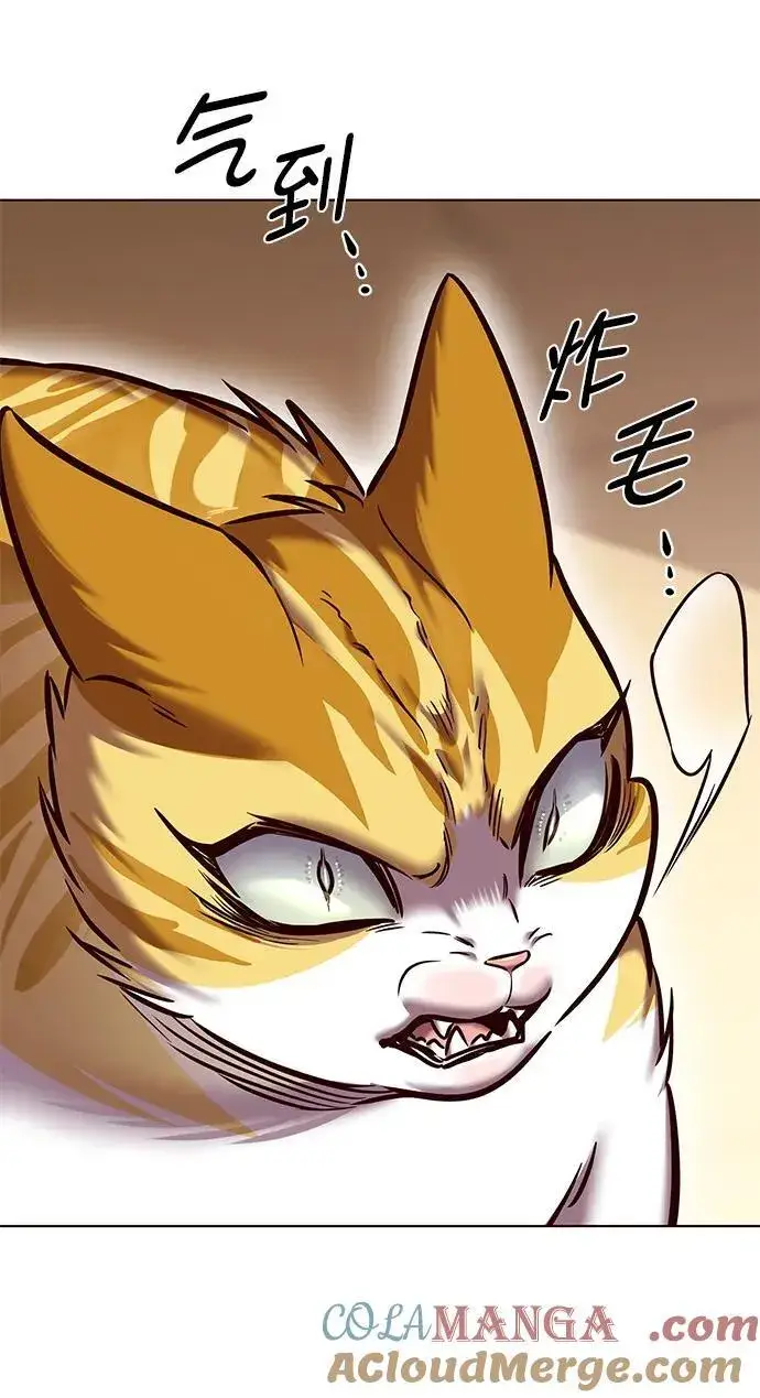 漫画《觉醒吧，铲屎官！》第278话第4张图