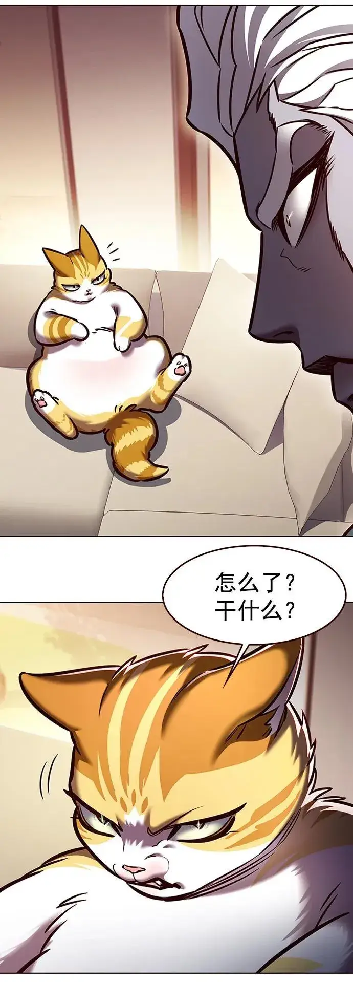 漫画《觉醒吧，铲屎官！》第278话第77张图