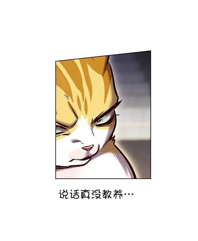 漫画《觉醒吧，铲屎官！》第279话第12张图