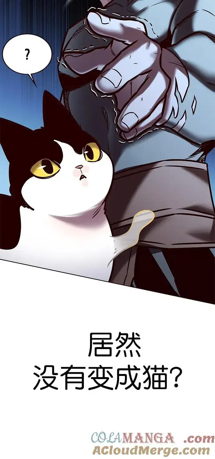 漫画《觉醒吧，铲屎官！》第279话第41张图