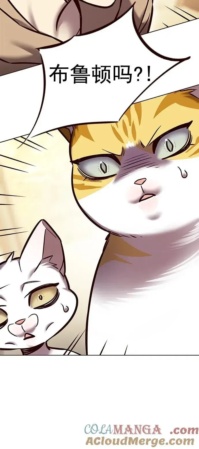 漫画《觉醒吧，铲屎官！》第279话第69张图