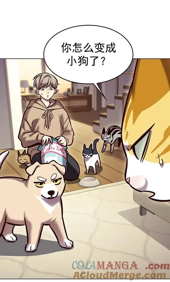 漫画《觉醒吧，铲屎官！》第279话第73张图