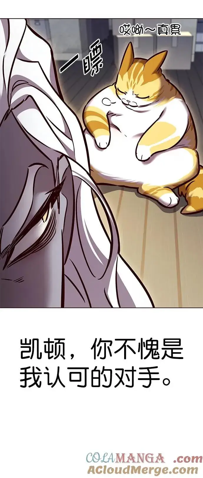 漫画《觉醒吧，铲屎官！》第279话第9张图