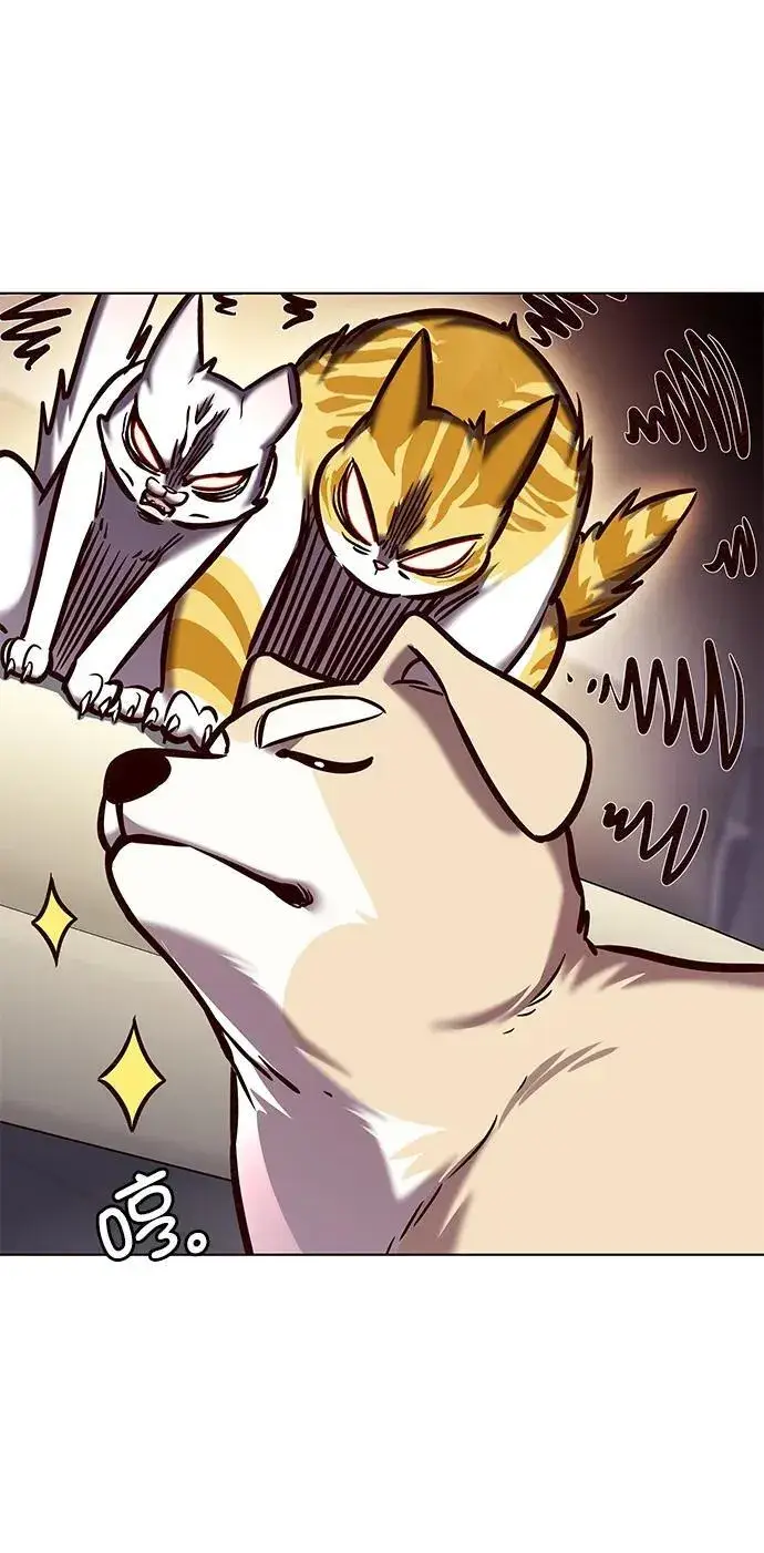 漫画《觉醒吧，铲屎官！》第279话第92张图