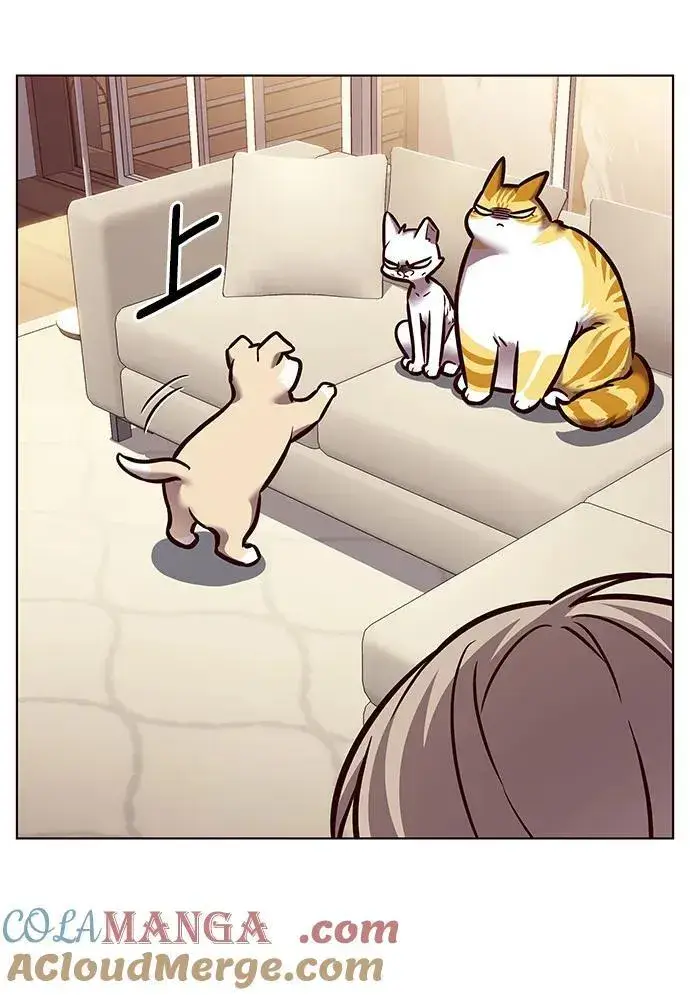 漫画《觉醒吧，铲屎官！》第279话第93张图
